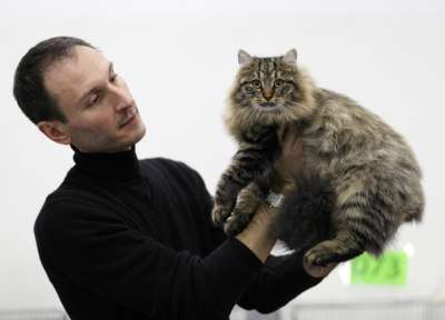 �������� ����� '������� ���-�����' 30 ������-1 ������� 2013., ������������ ��� 3696